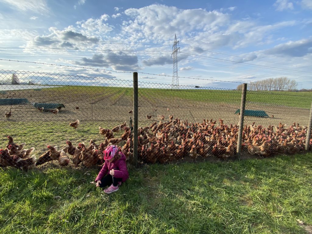 Mit eMTB & Kids zur Eisdiele und zurück + Chicken!!!