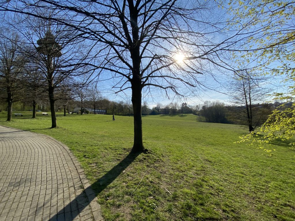 MTB (ohne E!) Tour mit den Kids