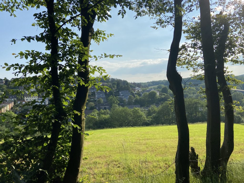 Holgis „Maschine“ von der Inspektion abgeholt! 😎🤘😁