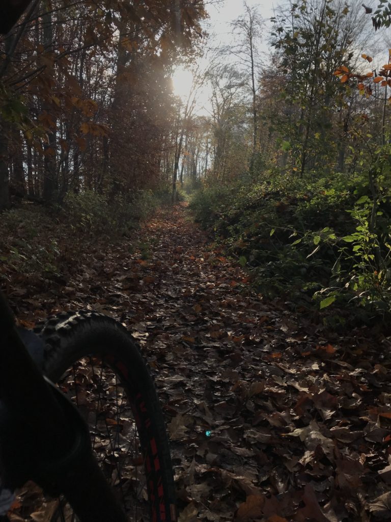 Nothing is as it once was