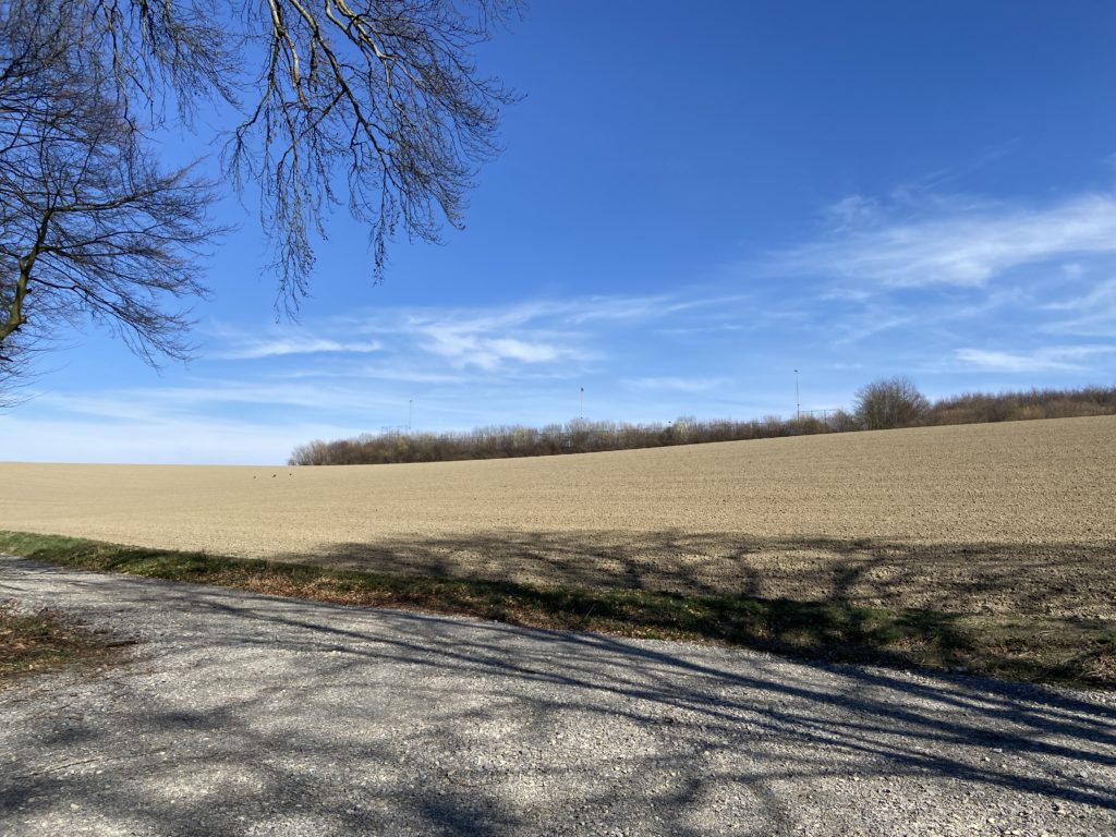 Sonntags Chill-Ride in die Flandersbach bei bestem Wetter 😎🤙🏻😁