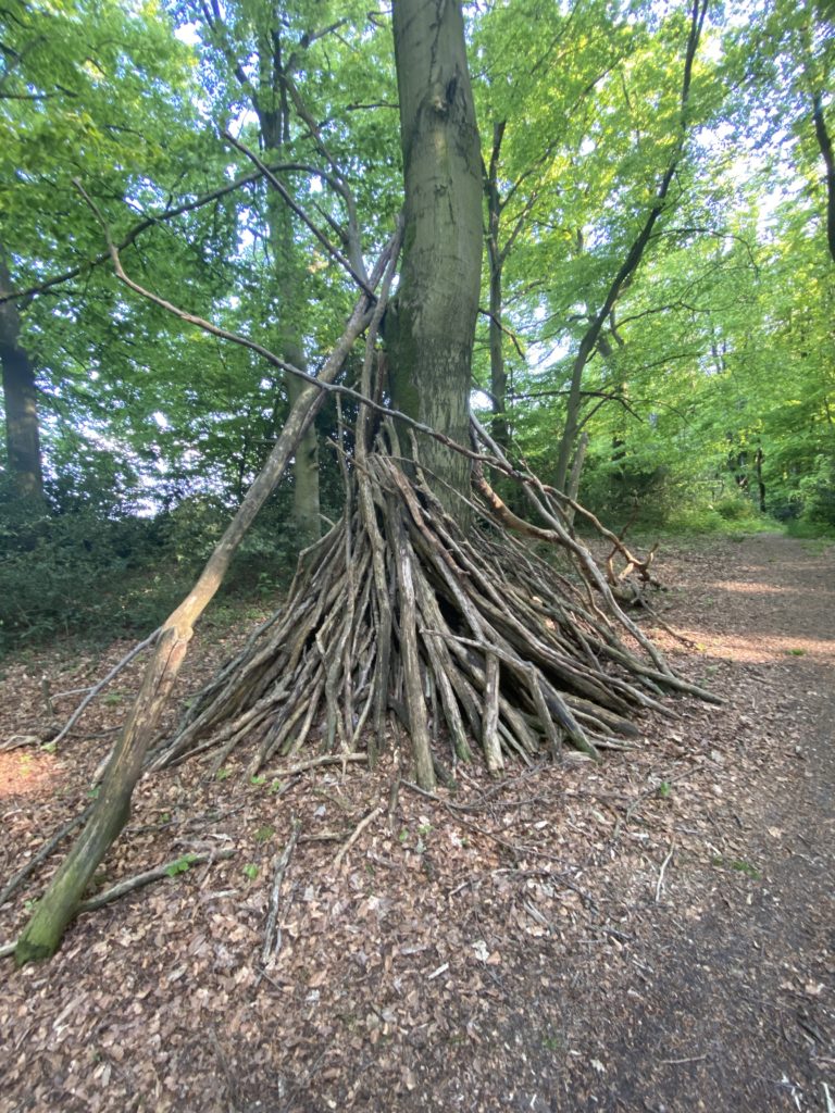 „Kleine“ Runde mit Kumpels ☀️😎🩹🪳