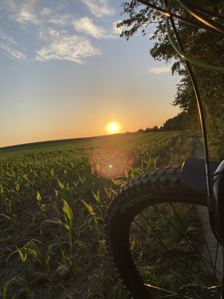 Jekyll & Hyde – Slow down properly again