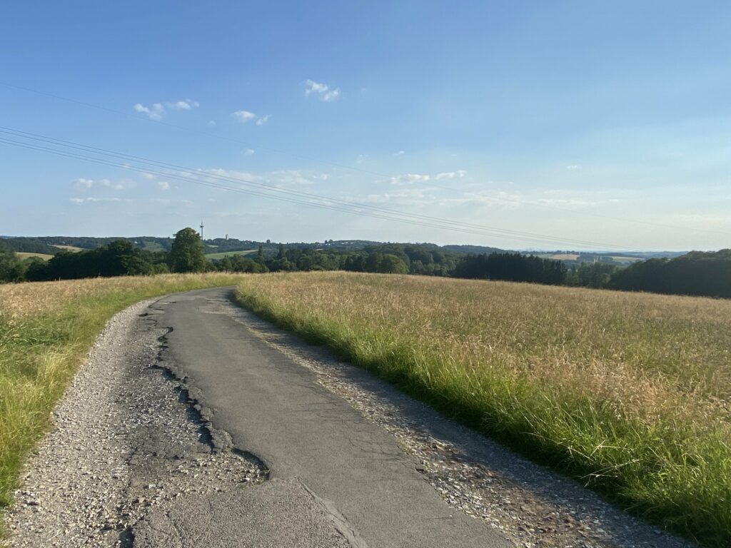 Mit dem EMTB durchs Grüne – von steil bis geil, Wurzeln u.v.m.